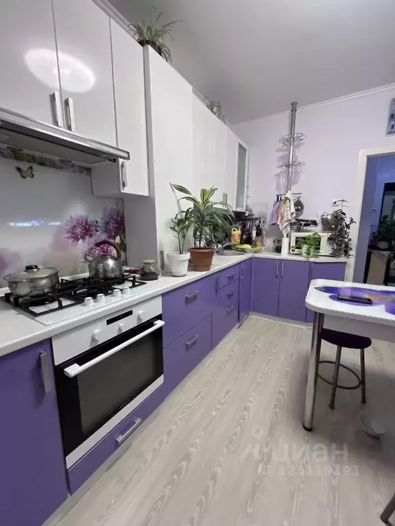 1-к кв. Калужская область, Совхоз Боровский с/пос, д. Кабицыно ул. ... - Фото 2