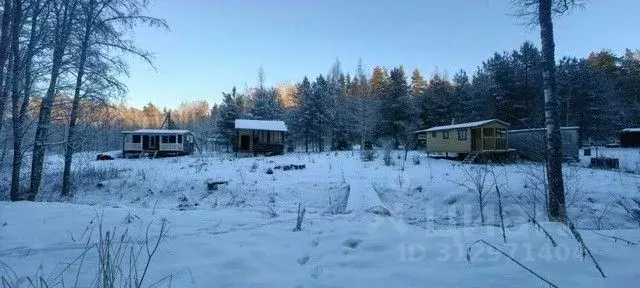 Участок в Ленинградская область, Выборгский район, Красносельское ... - Фото 0