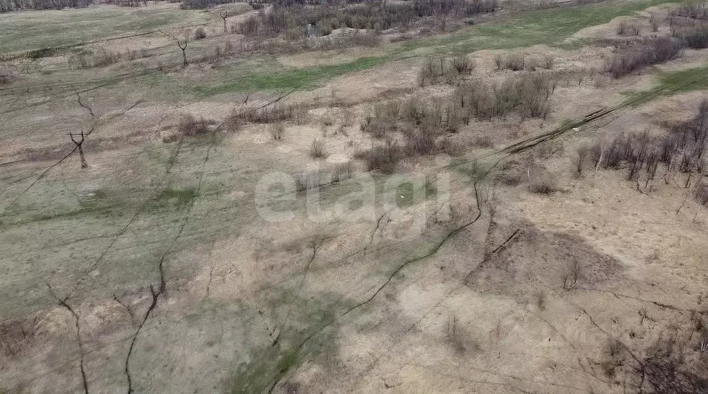 Участок в Камчатский край, Елизовский муниципальный округ, пос. ... - Фото 1
