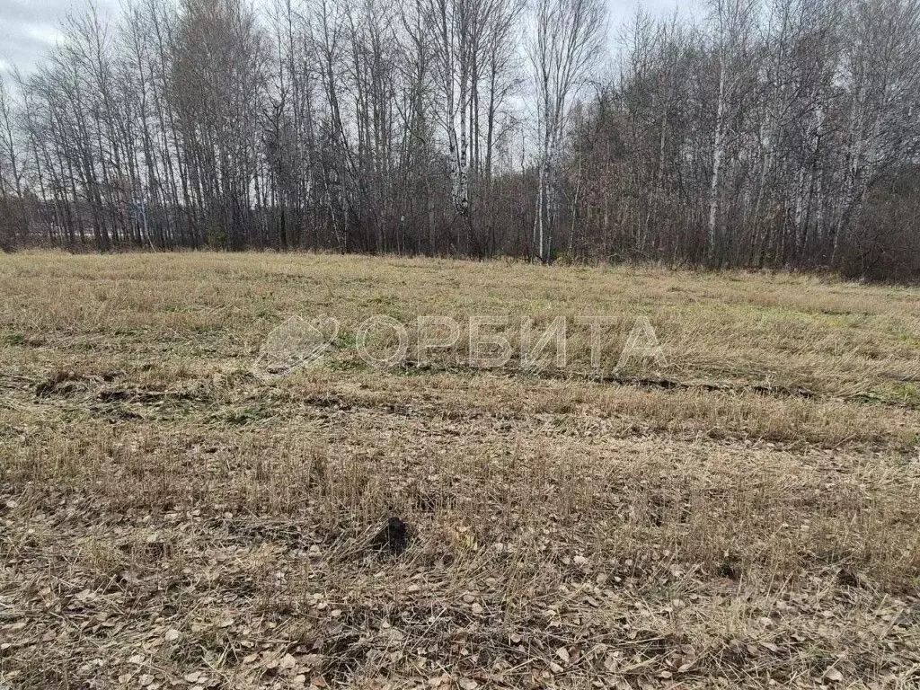 Участок в Тюменская область, Тюмень Плодовое СНТ, ул. Березовая (115.0 ... - Фото 2