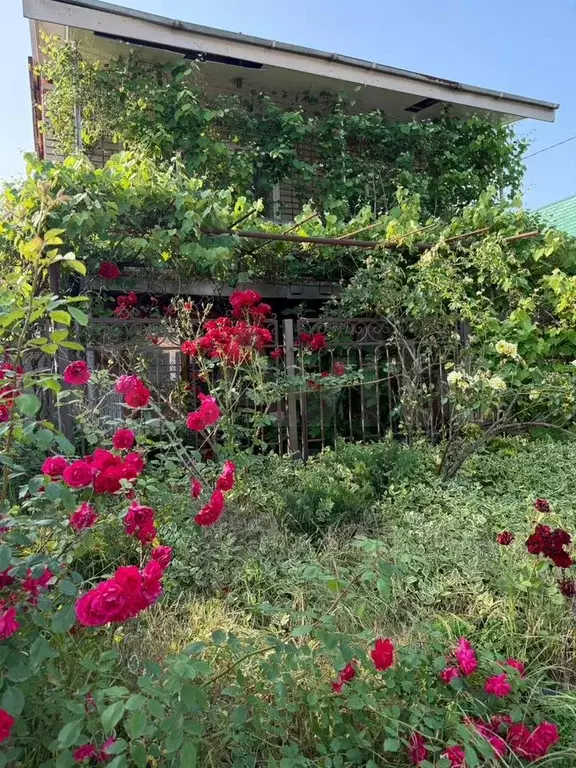 Дом 80 м на участке 3 сот. - Фото 0