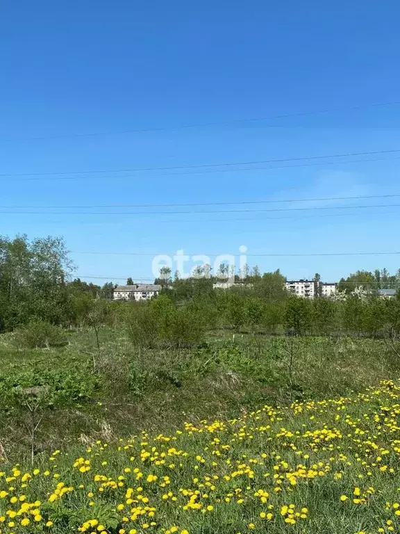 Участок в Ленинградская область, Гатчинский муниципальный округ, пос. ... - Фото 1