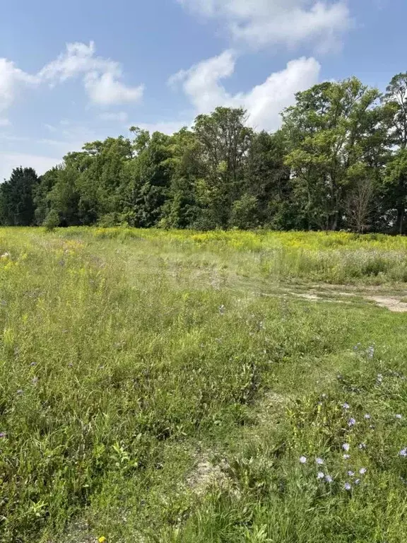 Участок в Тульская область, Тула городской округ, д. Малевка  (9.21 ... - Фото 2