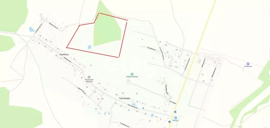 Участок в Владимирская область, Александровский муниципальный округ, ... - Фото 1