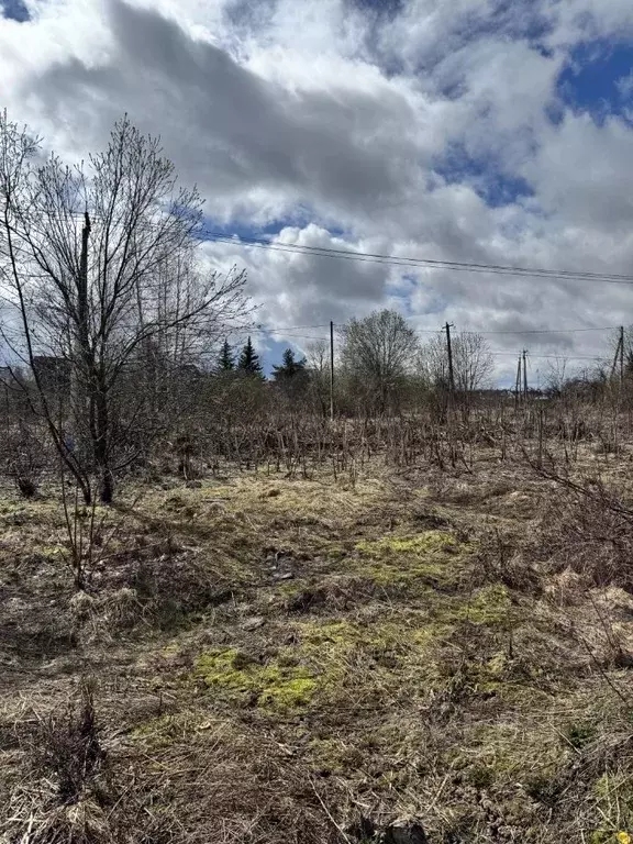 Участок в Московская область, Химки городской округ, д. Перепечино  ... - Фото 2