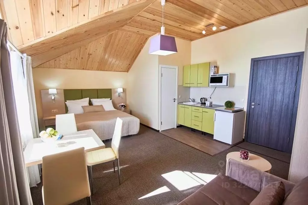 1-к кв. Краснодарский край, Сочи Курортный просп., 111/5к10 (25.0 м) - Фото 1