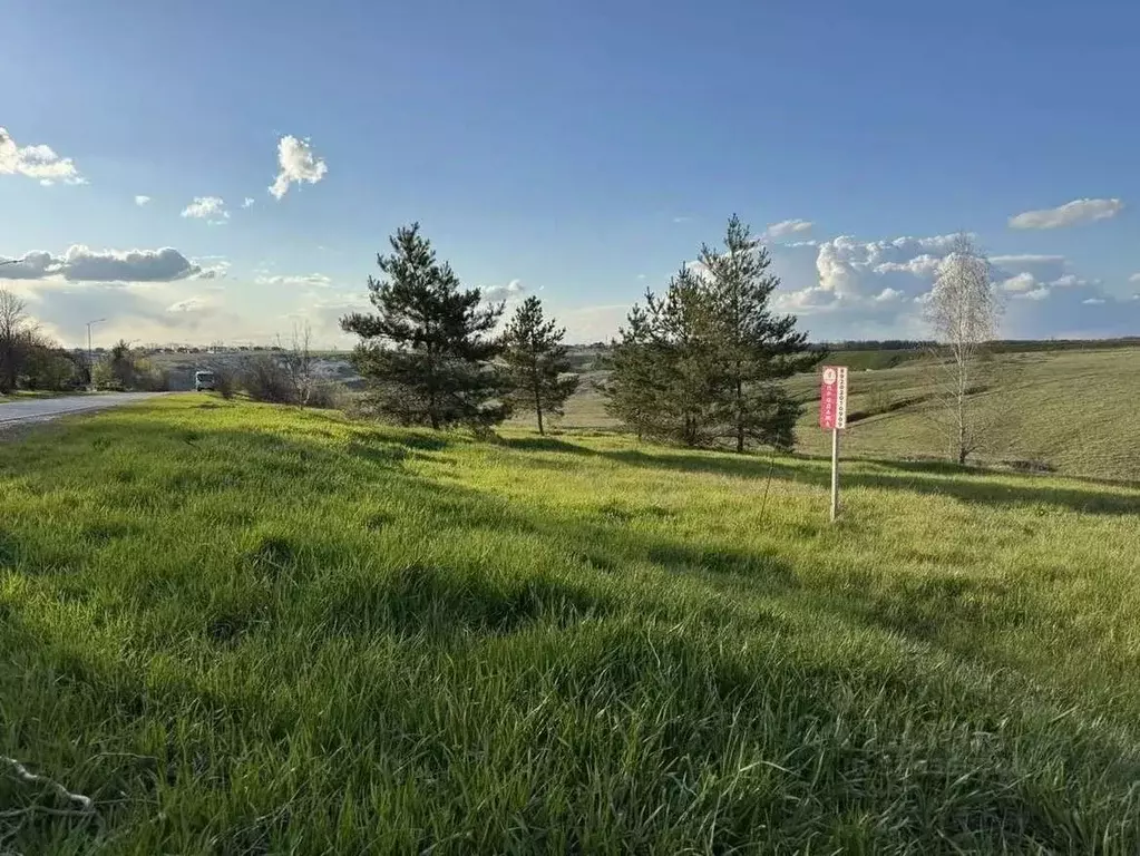 Участок в Белгородская область, Белгородский район, Новосадовское ... - Фото 1
