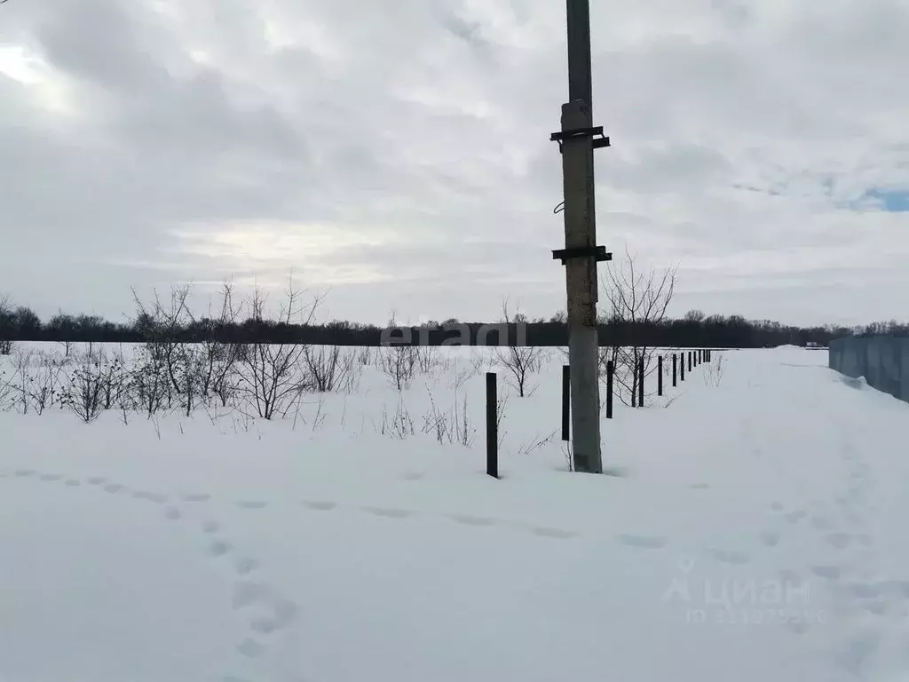 Участок в Башкортостан, Стерлитамакский район, Наумовский сельсовет, ... - Фото 0