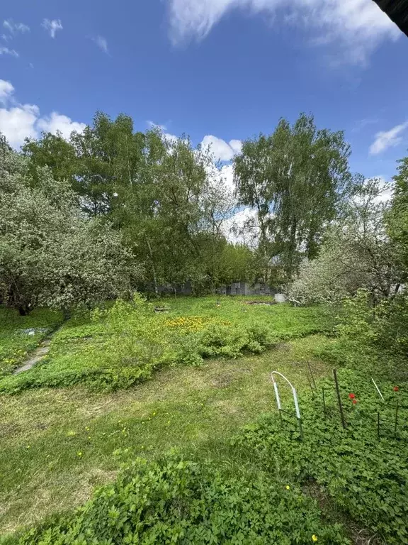 Участок в Московская область, Одинцовский городской округ, с. Дубки ш. ... - Фото 1