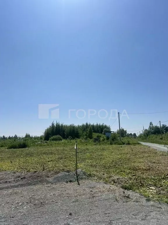Участок в Новосибирская область, Коченевский район, Тальник СНТ ул. ... - Фото 0