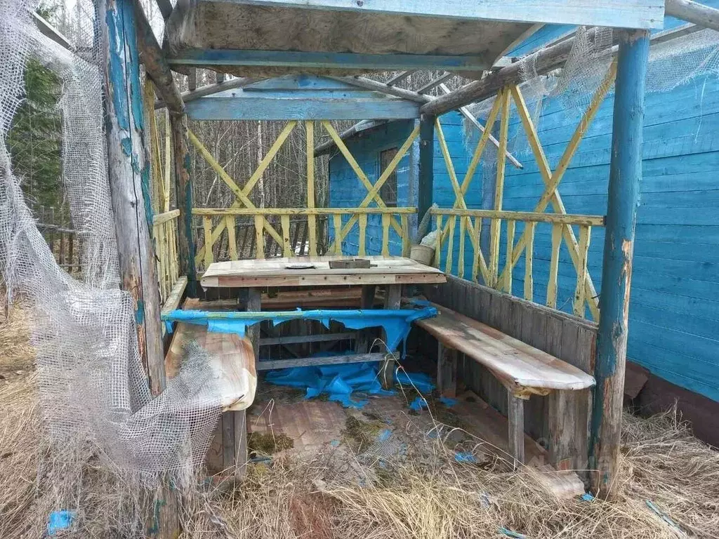 Участок в Архангельская область, Приморский муниципальный округ, Колос ... - Фото 1