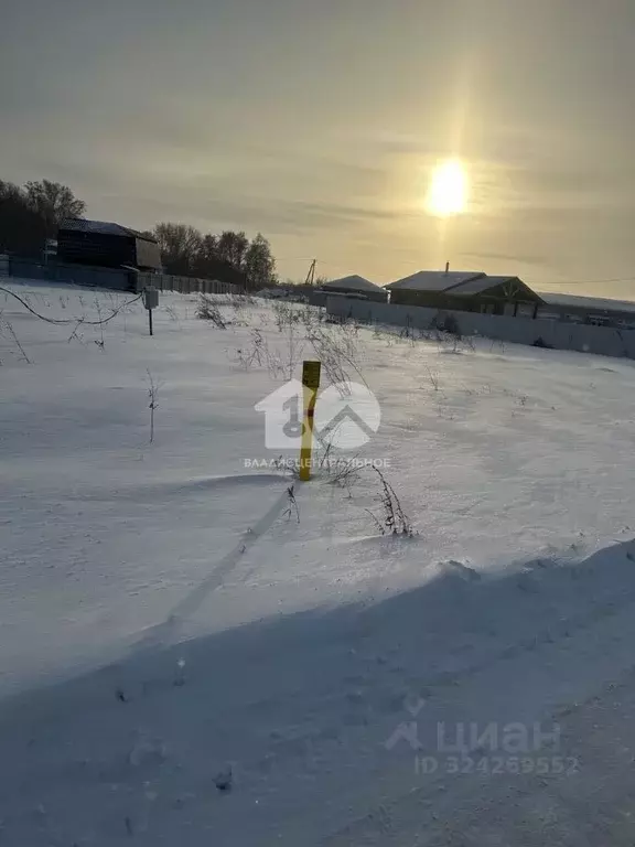 Участок в Новосибирская область, Новосибирский район, Морской ... - Фото 2