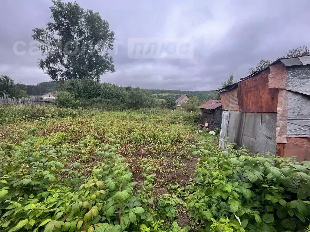 Дом в Свердловская область, Артемовский городской округ, с. Большое ... - Фото 1