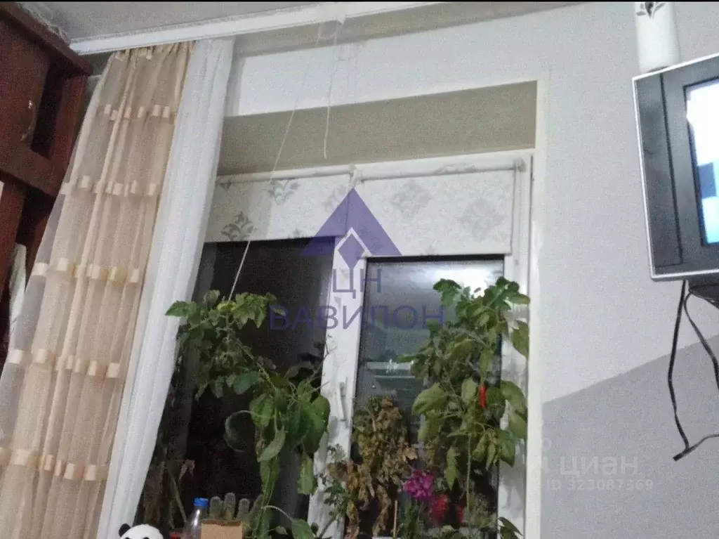 Комната Ростовская область, Волгодонск ул. Ленина (16.6 м) - Фото 1