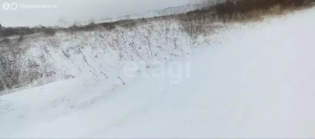 Участок в Костромской район, Бакшеевское сельское поселение, деревня ... - Фото 2