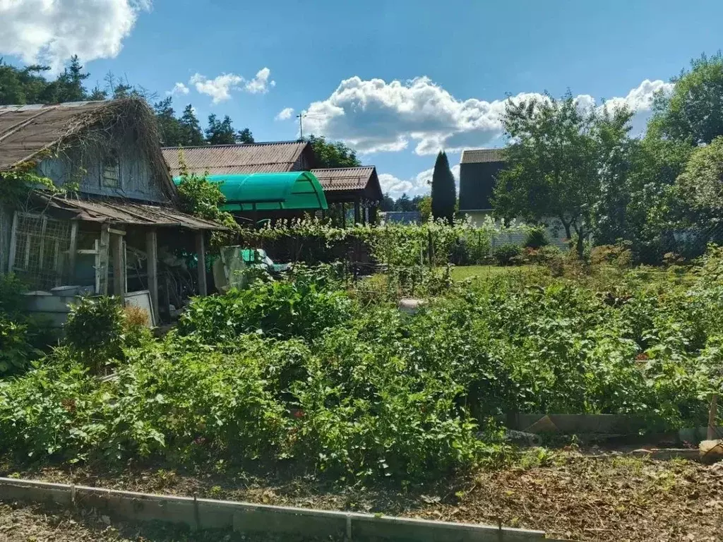 Дом в Калужская область, Жуковский муниципальный округ, Восход СНТ ул. ... - Фото 2