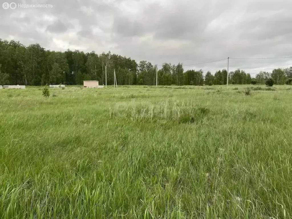 Участок в Курганская область, Кетовский муниципальный округ, ... - Фото 2