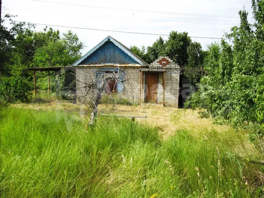 Дача металлург волгоград. СНТ Металлург Волгоград Краснооктябрьский. СНТ Металлург Волгоград Краснооктябрьский 3 улица дом 19.