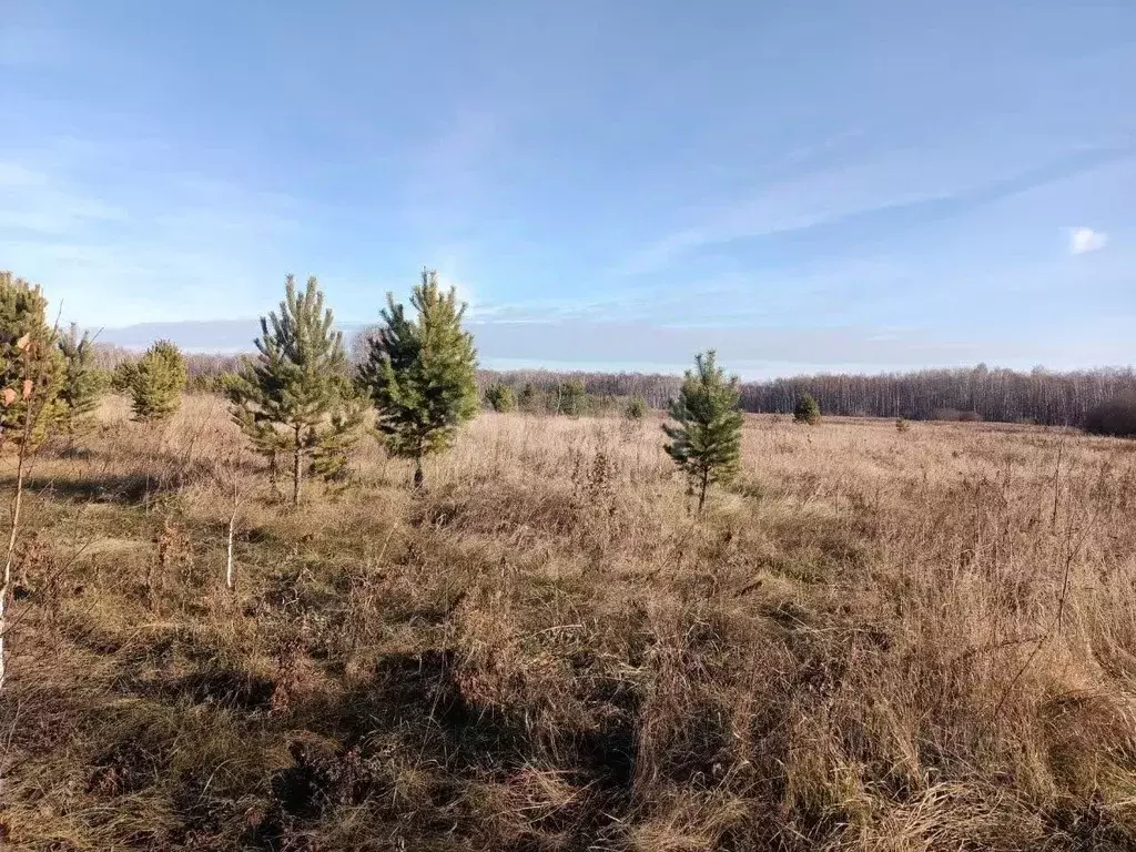 Участок в Тюменская область, Тюменский муниципальный округ, ... - Фото 0