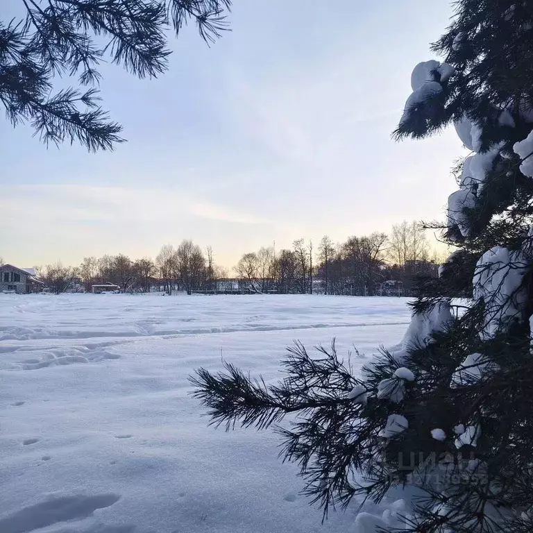 Участок в Московская область, Домодедово городской округ, д. ... - Фото 1