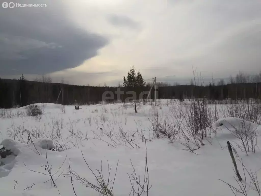 Участок в посёлок Уралец, Дачная улица (9.63 м) - Фото 2