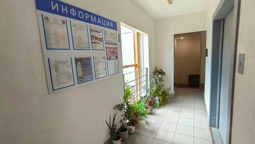 Квартира, студия, 15.5 м - Фото 2