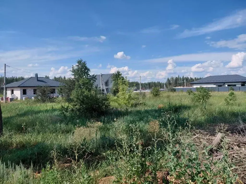 Участок в Воронежская область, Рамонский район, Новоживотинновское ... - Фото 2