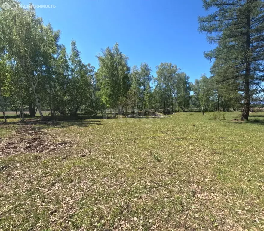 Участок в Усть-Коксинский район, село Мульта (1242 м) - Фото 2