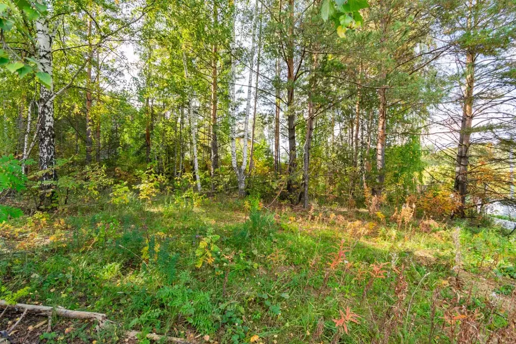 Участок в Свердловская область, Екатеринбург ул. Изоплитная, 23Л (10.0 ... - Фото 2