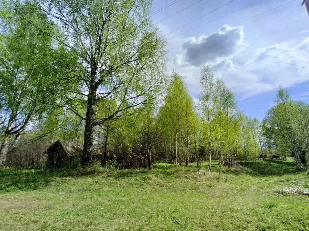 Дом в Вологодская область, Устюженский район, д. Свистуны  (25 м) - Фото 1