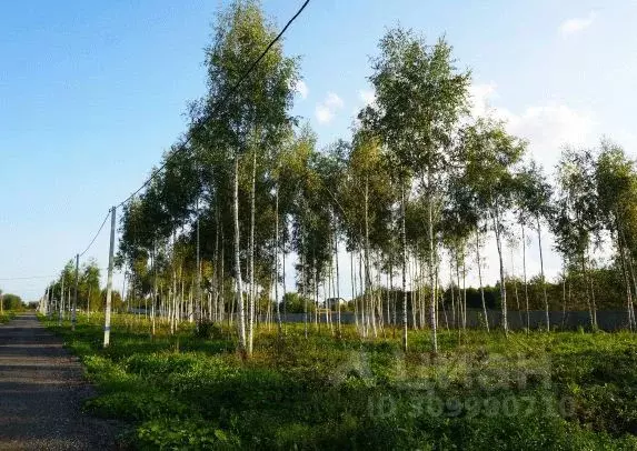 Участок в Московская область, Домодедово городской округ, с. ... - Фото 1