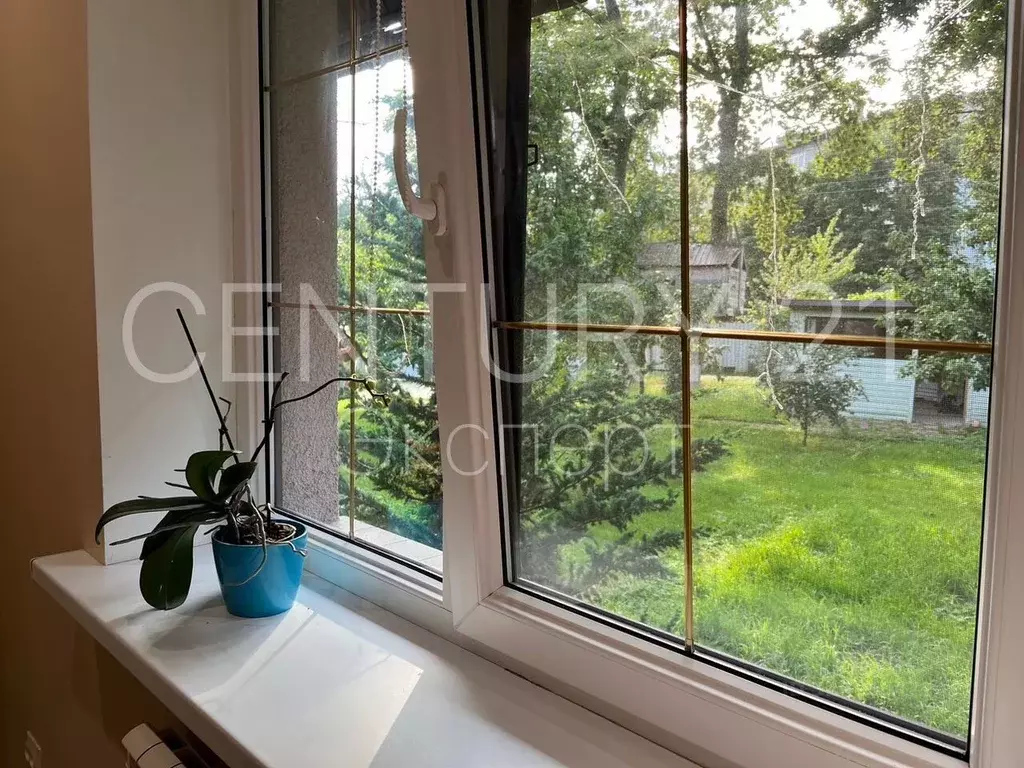 3-к кв. Калининградская область, Светлогорский городской округ, пос. ... - Фото 2