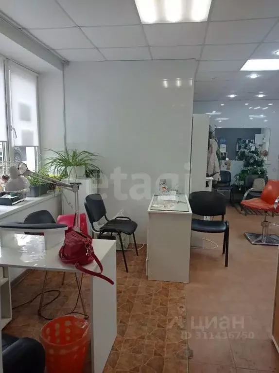 Торговая площадь в Крым, Евпатория ул. Крупской, 50 (65 м) - Фото 1