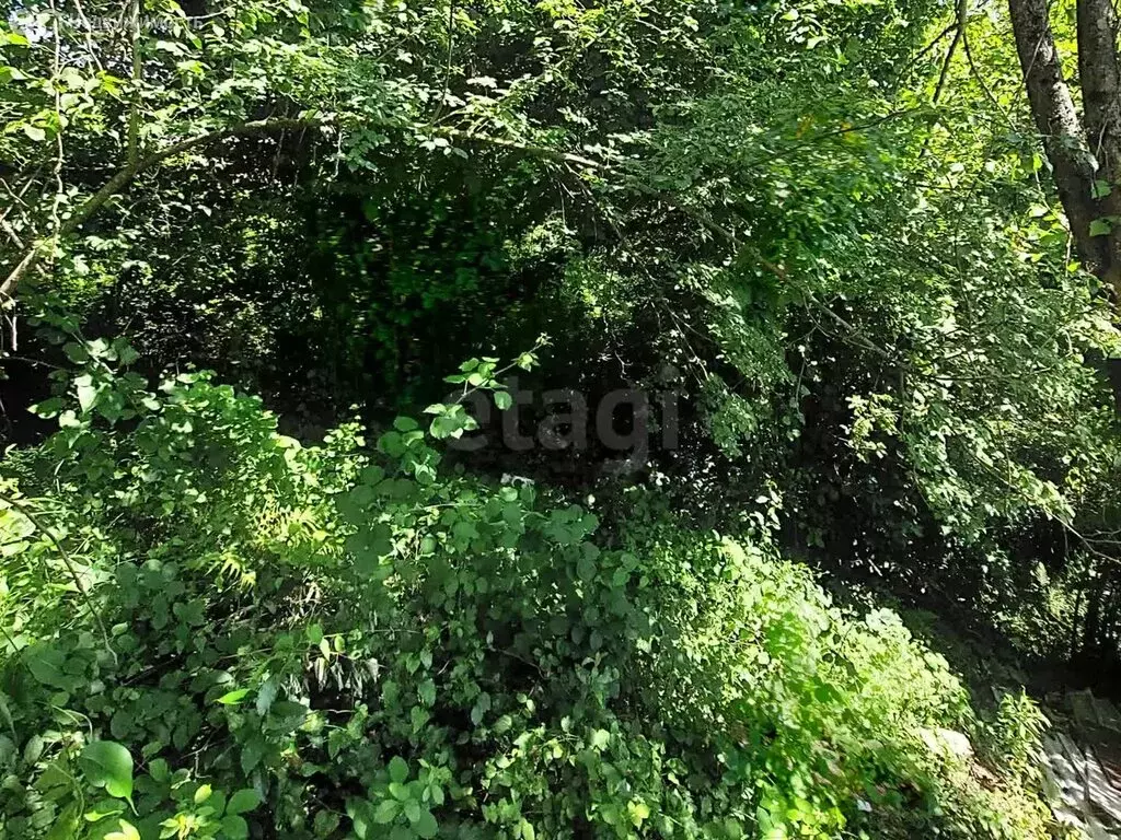 Участок в Краснодарский край, городской округ Сочи, село Верхний Юрт, ... - Фото 1