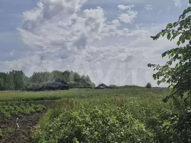 Участок 20 сот. (ИЖС) - Фото 0