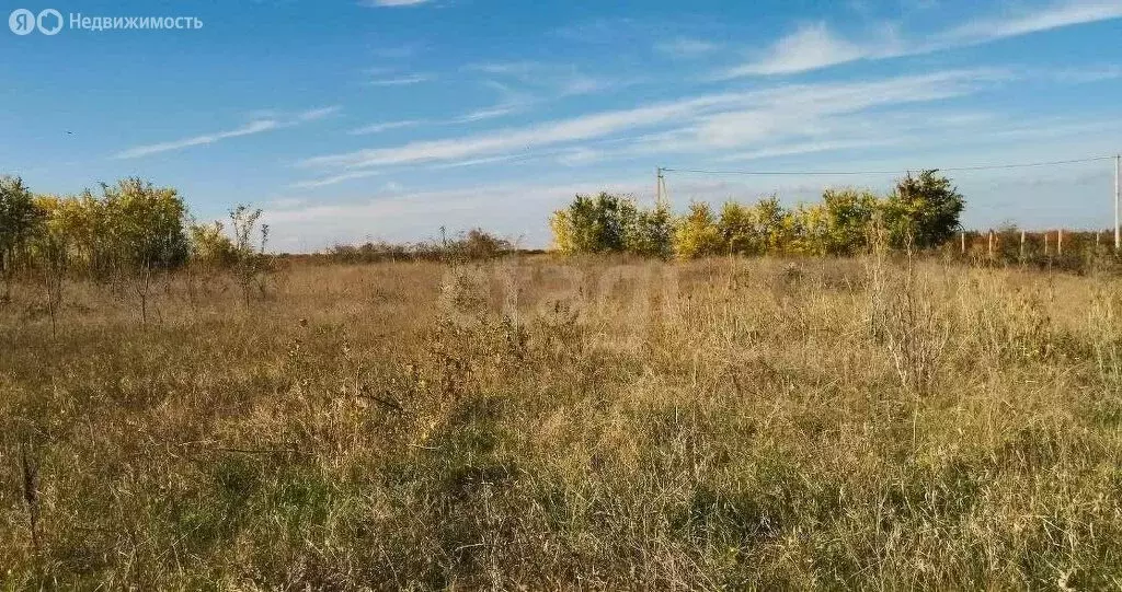 Участок в Абрикосовка, Сосновая улица (6 м) - Фото 2