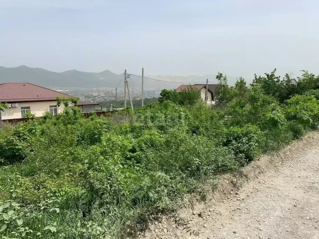 Участок в Краснодарский край, Новороссийск городской округ, с. Южная ... - Фото 1