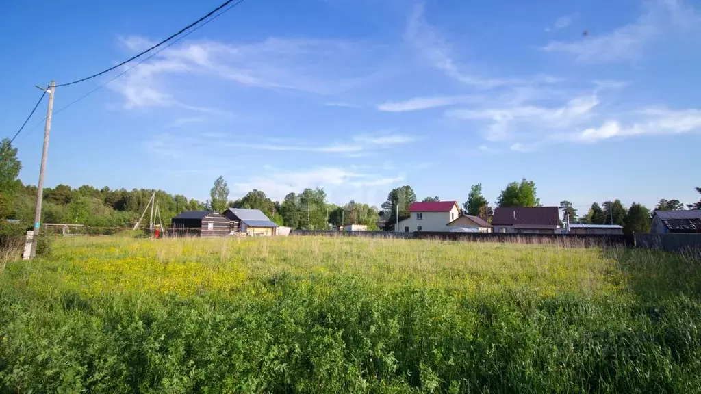 Участок в Томская область, Томский район, с. Коларово Кооперативная ... - Фото 1