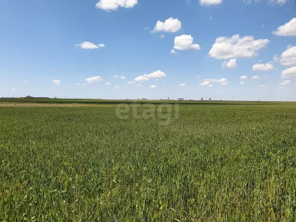 Участок в Крым, Сакский район, с. Молочное  (6.0 сот.) - Фото 1