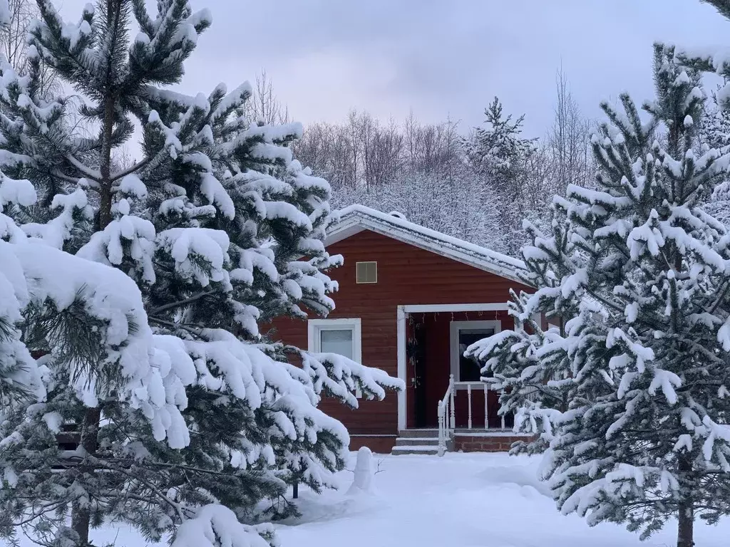 Дом в Карелия, Сортавальский муниципальный округ, пос. Рюттю 30 (48 м) - Фото 1