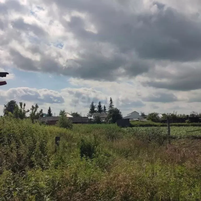 Участок в Свердловская область, Тавда ул. Гагарина (16.16 сот.) - Фото 1