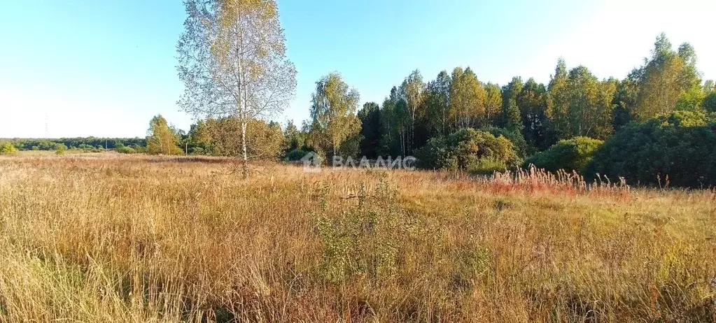 Участок в Владимирская область, Судогодский район, д. Суховка  (21.0 ... - Фото 1