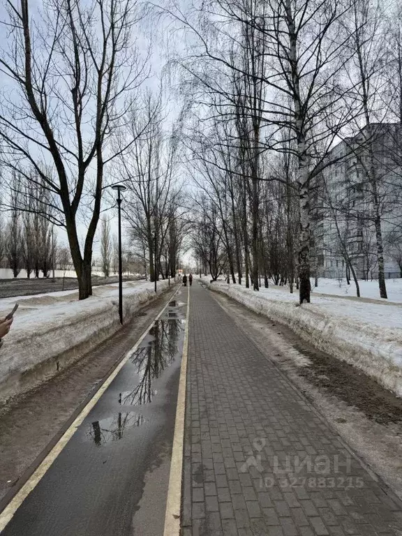 2-к кв. Нижегородская область, Нижний Новгород ул. Федосеенко, 102 ... - Фото 2