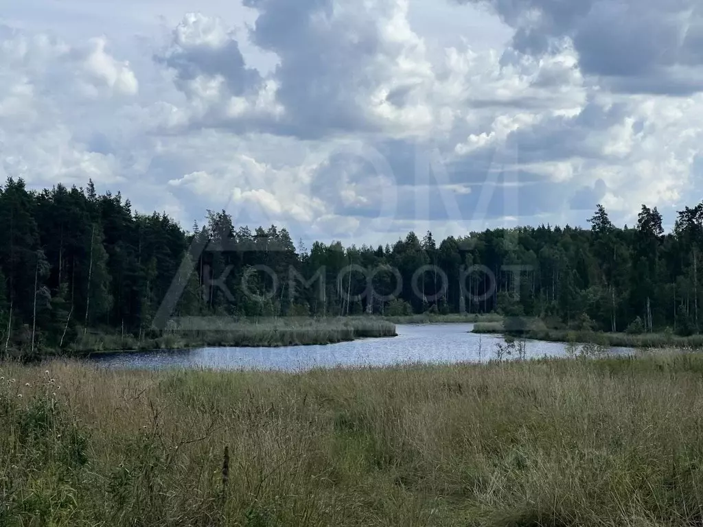 Участок в Ленинградская область, Приозерский район, Севастьяновское ... - Фото 2