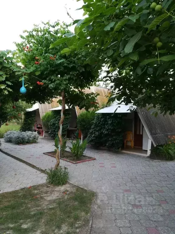 Дом в Краснодарский край, Темрюкский район, Голубицкое с/пос, ... - Фото 1