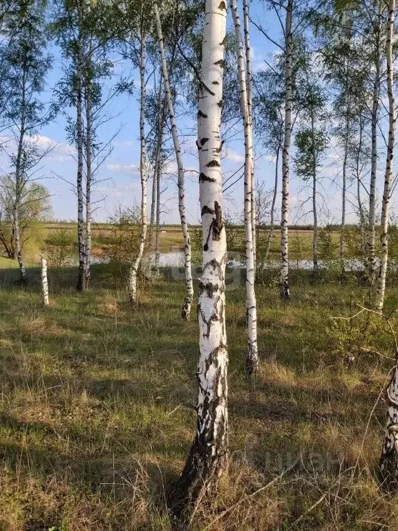 Участок в Тамбовская область, Тамбовский муниципальный округ, д. ... - Фото 1