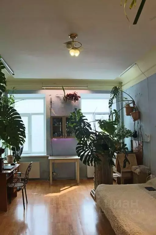 Комната Санкт-Петербург Гатчинская ул., 35 (25.2 м) - Фото 1