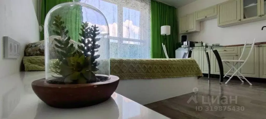 1-к кв. Челябинская область, Челябинск ул. Блюхера, 125А (28.0 м) - Фото 2