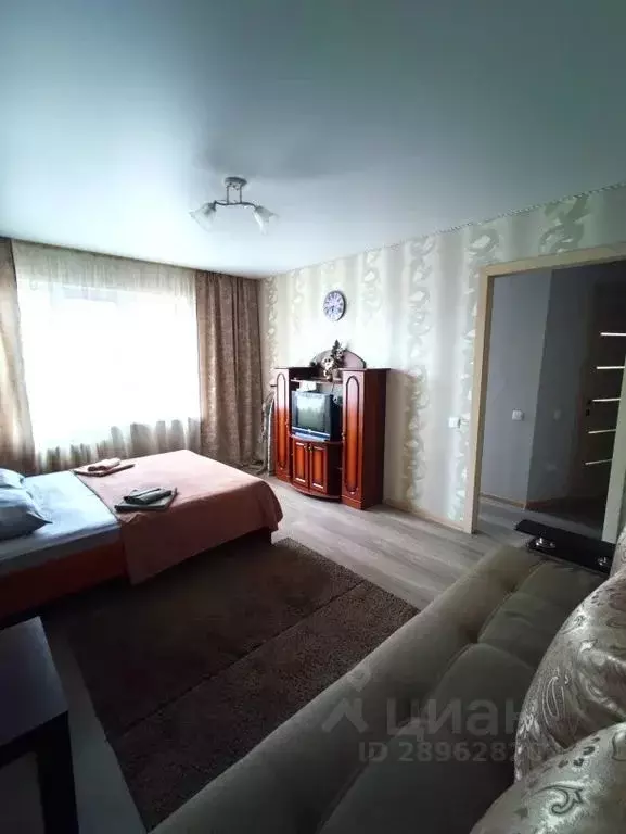 1-к кв. Воронежская область, Лиски ул. Свердлова, 61 (30.0 м) - Фото 0