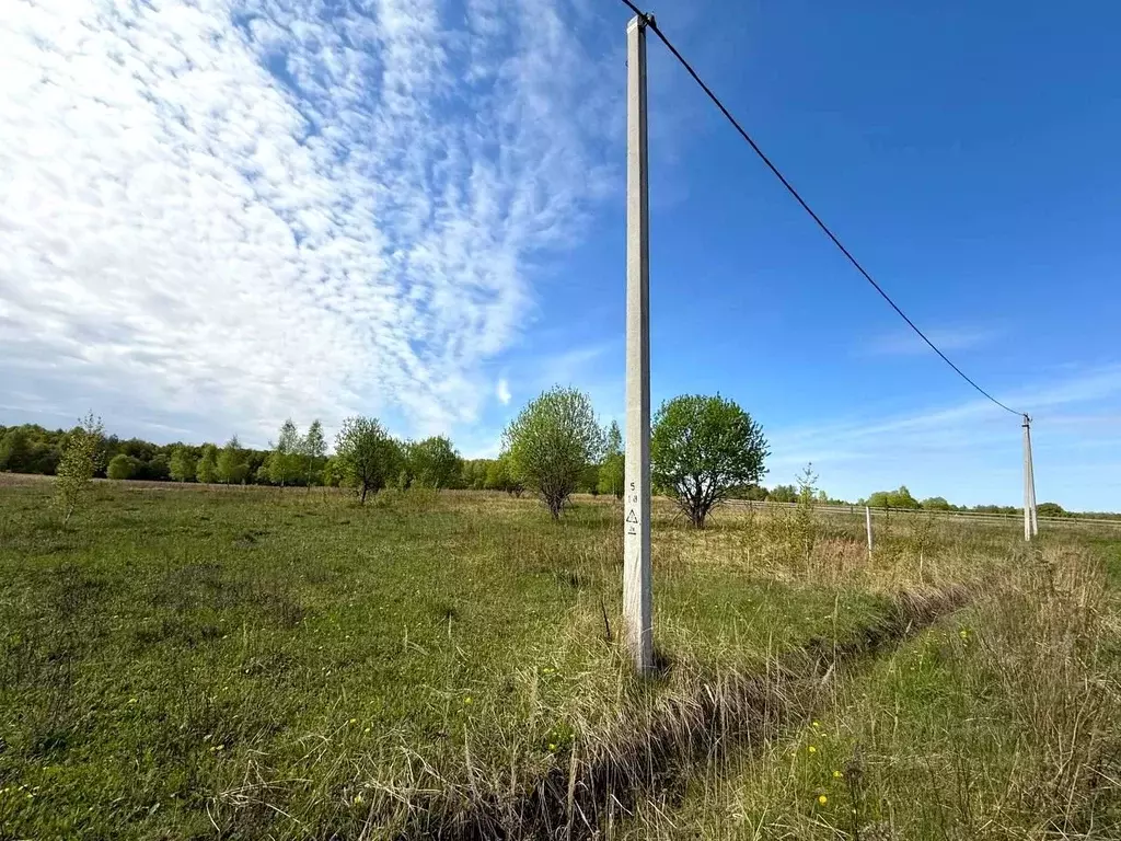 Участок в Тульская область, Заокский район, Демидовское с/пос, д. ... - Фото 2